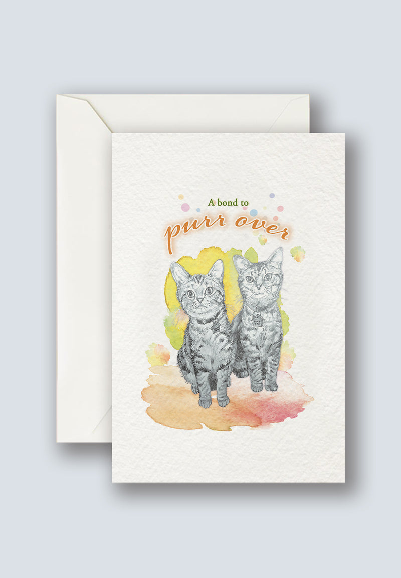 Cats Greeting Card 