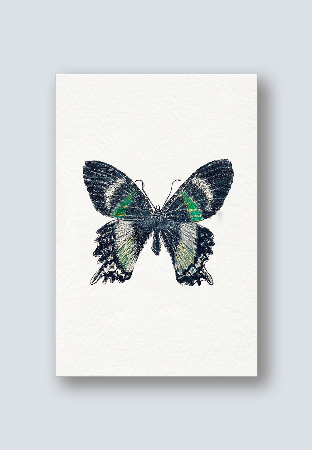 AR Flying Butterfly Thank You Card – Benji's of Brooklyn